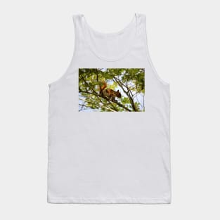 American Red Squirrel Tank Top